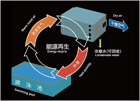 游泳館除濕機,泳池專用熱泵型除濕機泳池除濕機